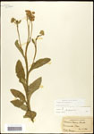 000060774-thumbnail.jpg