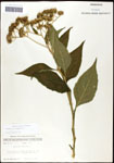 000060777-thumbnail.jpg