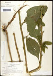 000060778-thumbnail.jpg