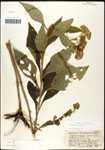 000060782-thumbnail.jpg