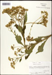 000060783-thumbnail.jpg
