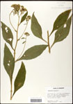 000060785-thumbnail.jpg