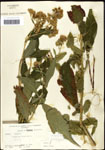 000060786-thumbnail.jpg