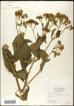 000060787-thumbnail.jpg