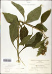 000060789-thumbnail.jpg