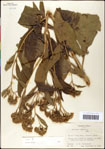 000060791-thumbnail.jpg