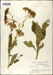 000060792-thumbnail.jpg