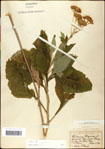 000060793-thumbnail.jpg