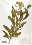 000060798-thumbnail.jpg