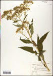 000060801-thumbnail.jpg