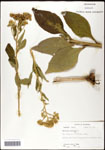 000060802-thumbnail.jpg