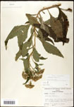 000060803-thumbnail.jpg