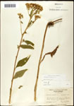 000060804-thumbnail.jpg