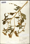 000060808-thumbnail.jpg