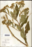 000060809-thumbnail.jpg
