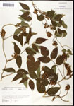000060854-thumbnail.jpg