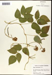 000060855-thumbnail.jpg