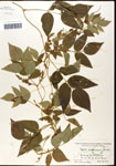 000060858-thumbnail.jpg