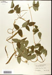 000060860-thumbnail.jpg