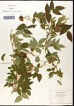 000060862-thumbnail.jpg