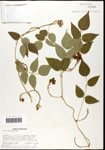 000060877-thumbnail.jpg