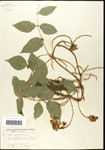 000060878-thumbnail.jpg