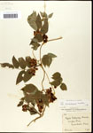000060879-thumbnail.jpg