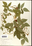 000060880-thumbnail.jpg