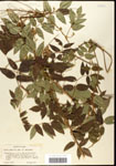 000060882-thumbnail.jpg