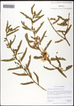 000060885-thumbnail.jpg