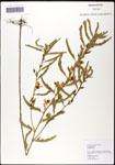 000060886-thumbnail.jpg