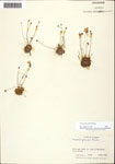 000060888-thumbnail.jpg