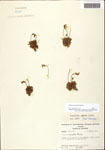 000060889-thumbnail.jpg