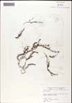 000060892-thumbnail.jpg
