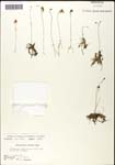 000060897-thumbnail.jpg