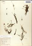 000060899-thumbnail.jpg