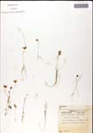 000060900-thumbnail.jpg