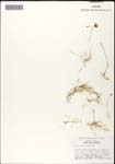 000060901-thumbnail.jpg