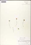 000060903-thumbnail.jpg