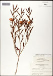 000060906-thumbnail.jpg