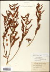 000060907-thumbnail.jpg