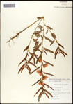 000060908-thumbnail.jpg