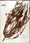 000060910-thumbnail.jpg