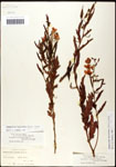 000060912-thumbnail.jpg
