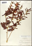 000060913-thumbnail.jpg