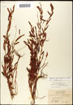 000060915-thumbnail.jpg