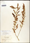 000060916-thumbnail.jpg