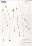 000060920-thumbnail.jpg