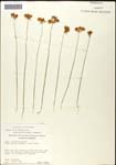 000060922-thumbnail.jpg