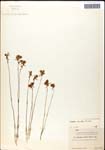 000060925-thumbnail.jpg